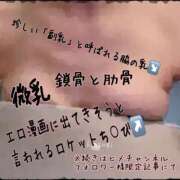 ヒメ日記 2026/08/04 12:05 投稿 葉月 I❤HIMEJI（アイラブ姫路）