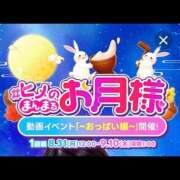 ヒメ日記 2026/09/03 08:10 投稿 葉月 I❤HIMEJI（アイラブ姫路）