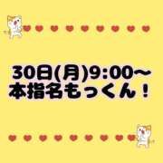 ヒメ日記 2026/03/30 16:18 投稿 もも I❤HIMEJI（アイラブ姫路）