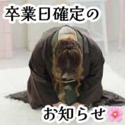 もも 🍑卒業日確定🌸 I❤HIMEJI（アイラブ姫路）