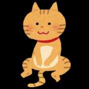 ひかり スコ座り猫😸 I❤HIMEJI（アイラブ姫路）