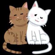 ひかり 寄り添い猫😸 I❤HIMEJI（アイラブ姫路）