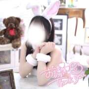 ヒメ日記 2026/04/27 00:05 投稿 みんと I❤HIMEJI（アイラブ姫路）