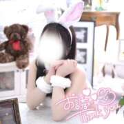 ヒメ日記 2026/08/20 23:34 投稿 みんと I❤HIMEJI（アイラブ姫路）