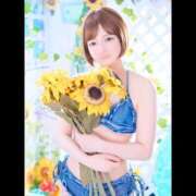 ヒメ日記 2026/07/12 07:14 投稿 みる I❤HIMEJI（アイラブ姫路）