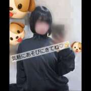 ヒメ日記 2026/03/19 12:28 投稿 ひろ I❤HIMEJI（アイラブ姫路）