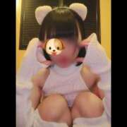 ヒメ日記 2026/04/07 11:37 投稿 ひろ I❤HIMEJI（アイラブ姫路）
