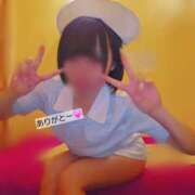 ヒメ日記 2026/04/30 19:06 投稿 ひろ I❤HIMEJI（アイラブ姫路）