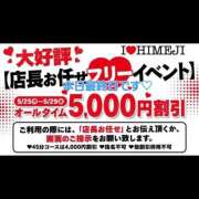 ヒメ日記 2026/05/29 13:24 投稿 ひろ I❤HIMEJI（アイラブ姫路）