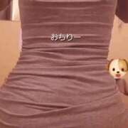 ヒメ日記 2026/06/29 11:04 投稿 ひろ I❤HIMEJI（アイラブ姫路）