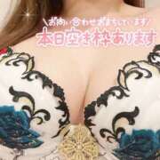 ヒメ日記 2026/08/20 08:44 投稿 るみ I❤HIMEJI（アイラブ姫路）