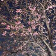 ヒメ日記 2026/03/22 22:13 投稿 かれん I❤HIMEJI（アイラブ姫路）