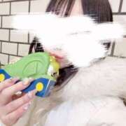 Arno【アルノ】 💕おひさしぶりです💕 club MARIA(大阪)