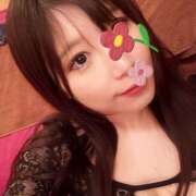 ヒメ日記 2026/03/28 12:57 投稿 なの I❤HIMEJI（アイラブ姫路）