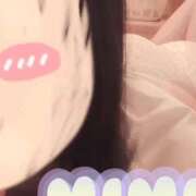 ヒメ日記 2026/03/24 10:07 投稿 一条みみ I❤HIMEJI（アイラブ姫路）