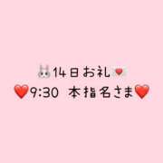 ヒメ日記 2026/04/14 20:17 投稿 一条みみ I❤HIMEJI（アイラブ姫路）