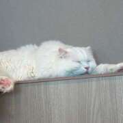ヒメ日記 2026/05/12 00:34 投稿 みお I❤HIMEJI（アイラブ姫路）