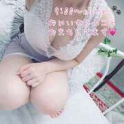 ヒメ日記 2026/08/29 09:30 投稿 みお I❤HIMEJI（アイラブ姫路）
