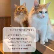 ヒメ日記 2026/09/17 18:04 投稿 みお I❤HIMEJI（アイラブ姫路）