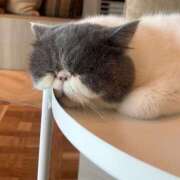 ヒメ日記 2026/09/20 12:14 投稿 みお I❤HIMEJI（アイラブ姫路）