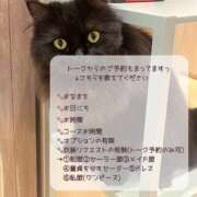 ヒメ日記 2026/10/08 21:39 投稿 みお I❤HIMEJI（アイラブ姫路）