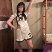 ヒメ日記 2026/03/29 17:07 投稿 はるなさん I❤HIMEJI（アイラブ姫路）