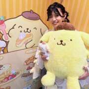 ヒメ日記 2026/04/25 15:25 投稿 はるなさん I❤HIMEJI（アイラブ姫路）