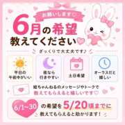 ヒメ日記 2026/05/19 15:44 投稿 ともえ I❤HIMEJI（アイラブ姫路）