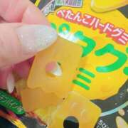 ヒメ日記 2026/06/28 15:04 投稿 ともえ I❤HIMEJI（アイラブ姫路）