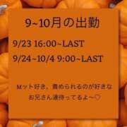 ヒメ日記 2026/09/16 21:29 投稿 かるた I❤HIMEJI（アイラブ姫路）