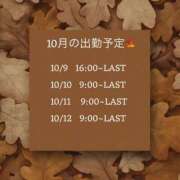 ヒメ日記 2026/09/29 21:04 投稿 かるた I❤HIMEJI（アイラブ姫路）