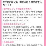 ヒメ日記 2026/04/18 11:09 投稿 さや I❤HIMEJI（アイラブ姫路）