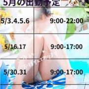 ヒメ日記 2026/04/19 10:39 投稿 さや I❤HIMEJI（アイラブ姫路）