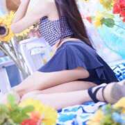 ヒメ日記 2026/06/29 13:15 投稿 ぜろ I❤HIMEJI（アイラブ姫路）