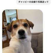 ヒメ日記 2026/05/10 19:04 投稿 まお I❤HIMEJI（アイラブ姫路）