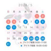 ヒメ日記 2026/04/11 19:59 投稿 しゅうか I❤HIMEJI（アイラブ姫路）