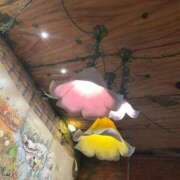 ヒメ日記 2026/03/28 19:24 投稿 りく NEO不夜城