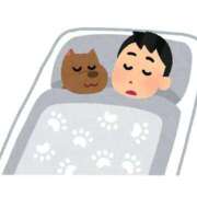 ヒメ日記 2026/04/27 15:49 投稿 りく NEO不夜城