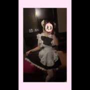 ヒメ日記 2026/03/28 18:37 投稿 うに I❤HIMEJI