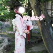 ヒメ日記 2026/08/14 20:04 投稿 ゆら I❤HIMEJI（アイラブ姫路）