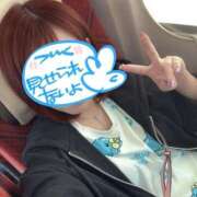 ヒメ日記 2026/05/14 13:24 投稿 うさはな I❤HIMEJI（アイラブ姫路）