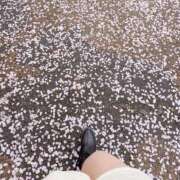 ヒメ日記 2026/04/09 15:47 投稿 しおん I❤HIMEJI（アイラブ姫路）