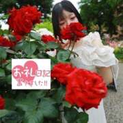 ヒメ日記 2026/08/31 11:14 投稿 こはる I❤HIMEJI（アイラブ姫路）