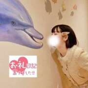 ヒメ日記 2026/09/19 20:34 投稿 こはる I❤HIMEJI（アイラブ姫路）