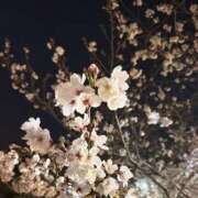 ヒメ日記 2026/04/07 21:58 投稿 りん I❤HIMEJI（アイラブ姫路）