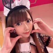 ヒメ日記 2026/04/12 17:07 投稿 茶々丸 I❤HIMEJI（アイラブ姫路）