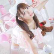 ヒメ日記 2026/04/29 09:44 投稿 まや I❤HIMEJI（アイラブ姫路）