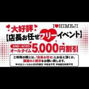 ヒメ日記 2026/06/08 08:04 投稿 ごじょう I❤HIMEJI（アイラブ姫路）