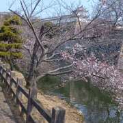 ヒメ日記 2026/03/28 12:20 投稿 みつき I❤HIMEJI（アイラブ姫路）