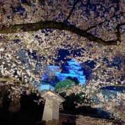 ヒメ日記 2026/04/03 11:17 投稿 みつき I❤HIMEJI（アイラブ姫路）